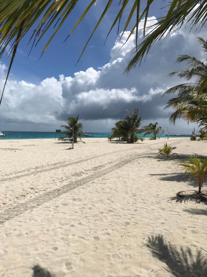 Malas Island View Fulidhoo Eksteriør billede